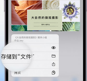 开州apple维修中心分享iPhone文件应用中存储和找到下载文件