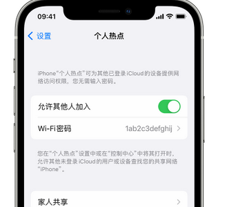 开州apple服务站点分享iPhone上个人热点丢失了怎么办