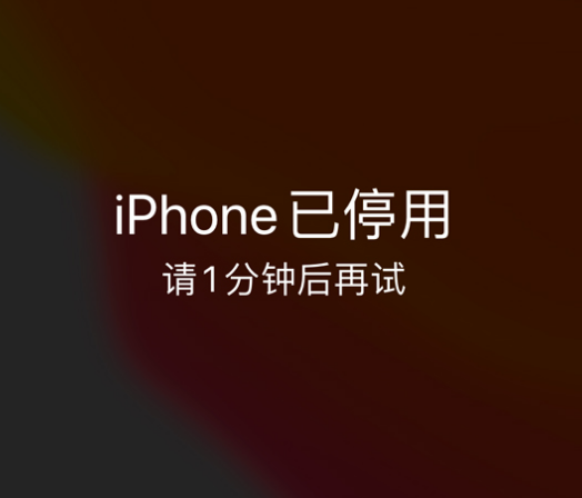 开州苹果手机维修分享:iPhone 显示“不可用”或“已停用”怎么办？还能保留数据吗？ 