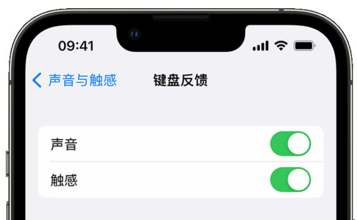 开州苹果手机维修分享iPhone 14触感键盘使用方法 