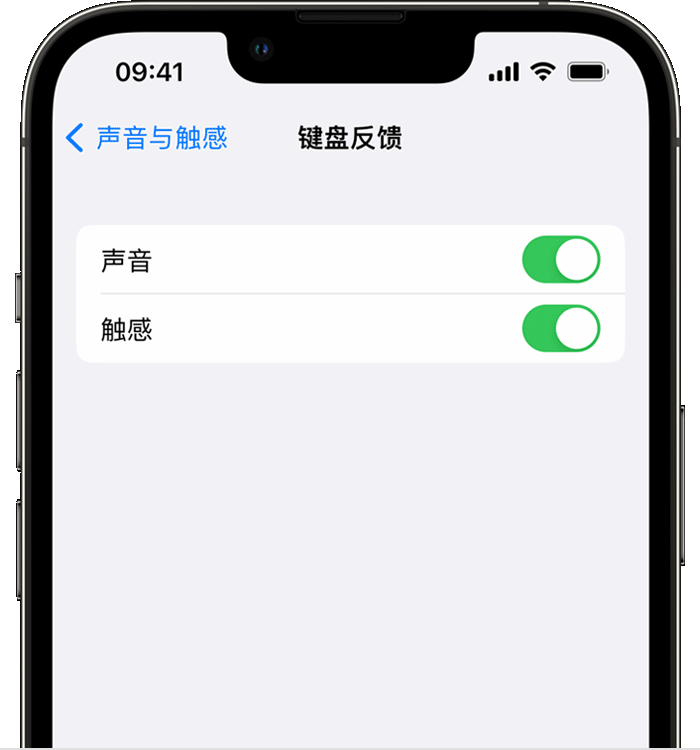 开州苹果14维修店分享如何在 iPhone 14 机型中使用触感键盘 