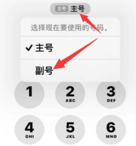 开州苹果14维修店分享iPhone 14 Pro Max使用副卡打电话的方法 