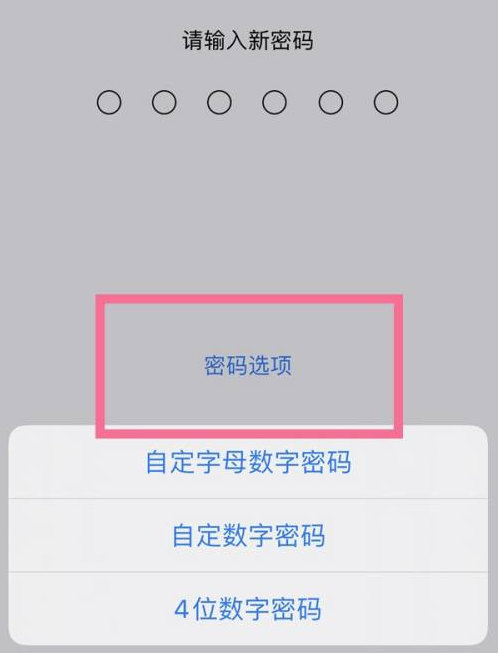 开州苹果14维修分享iPhone 14plus设置密码的方法 