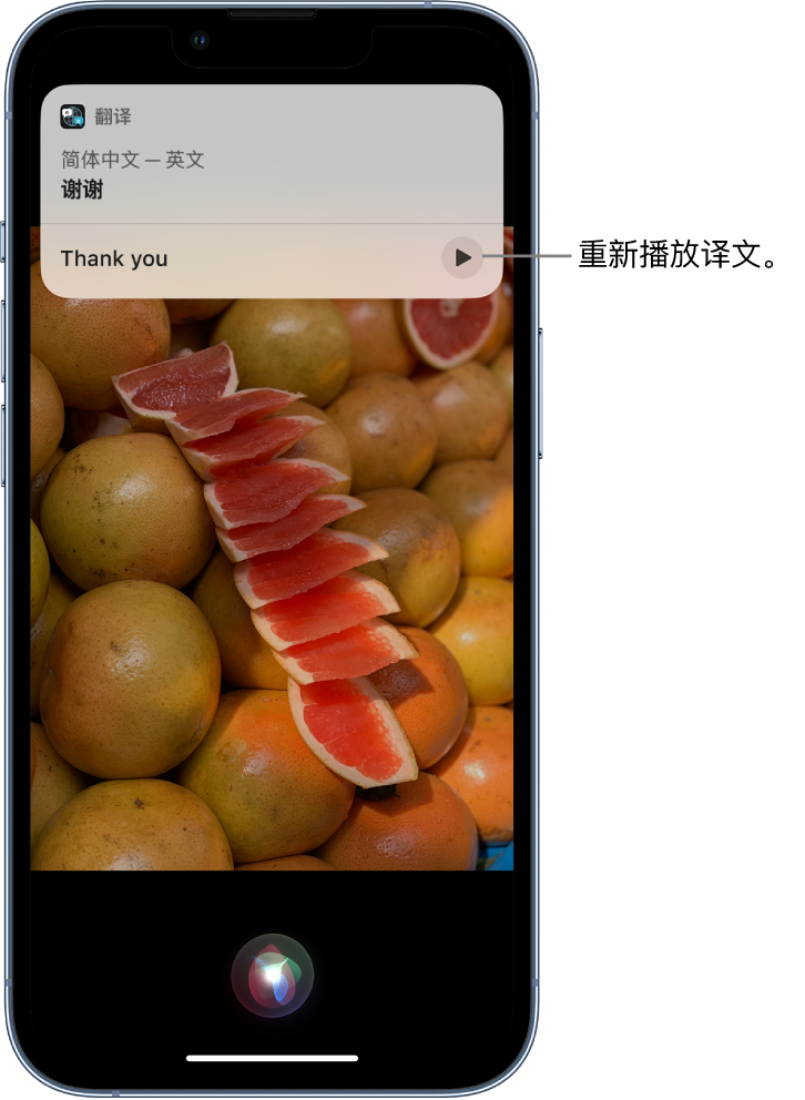 开州苹果14维修分享 iPhone 14 机型中使用 Siri：了解 Siri 能帮你做什么 