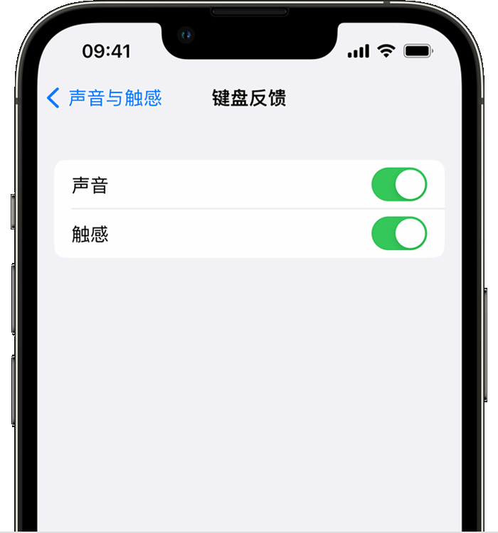 开州苹果14维修分享iPhone 14 系列机型如何开启键盘声音或触感反馈 