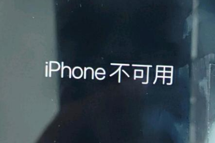 开州苹果服务网点分享锁屏界面显示“iPhone 不可用”如何解决 