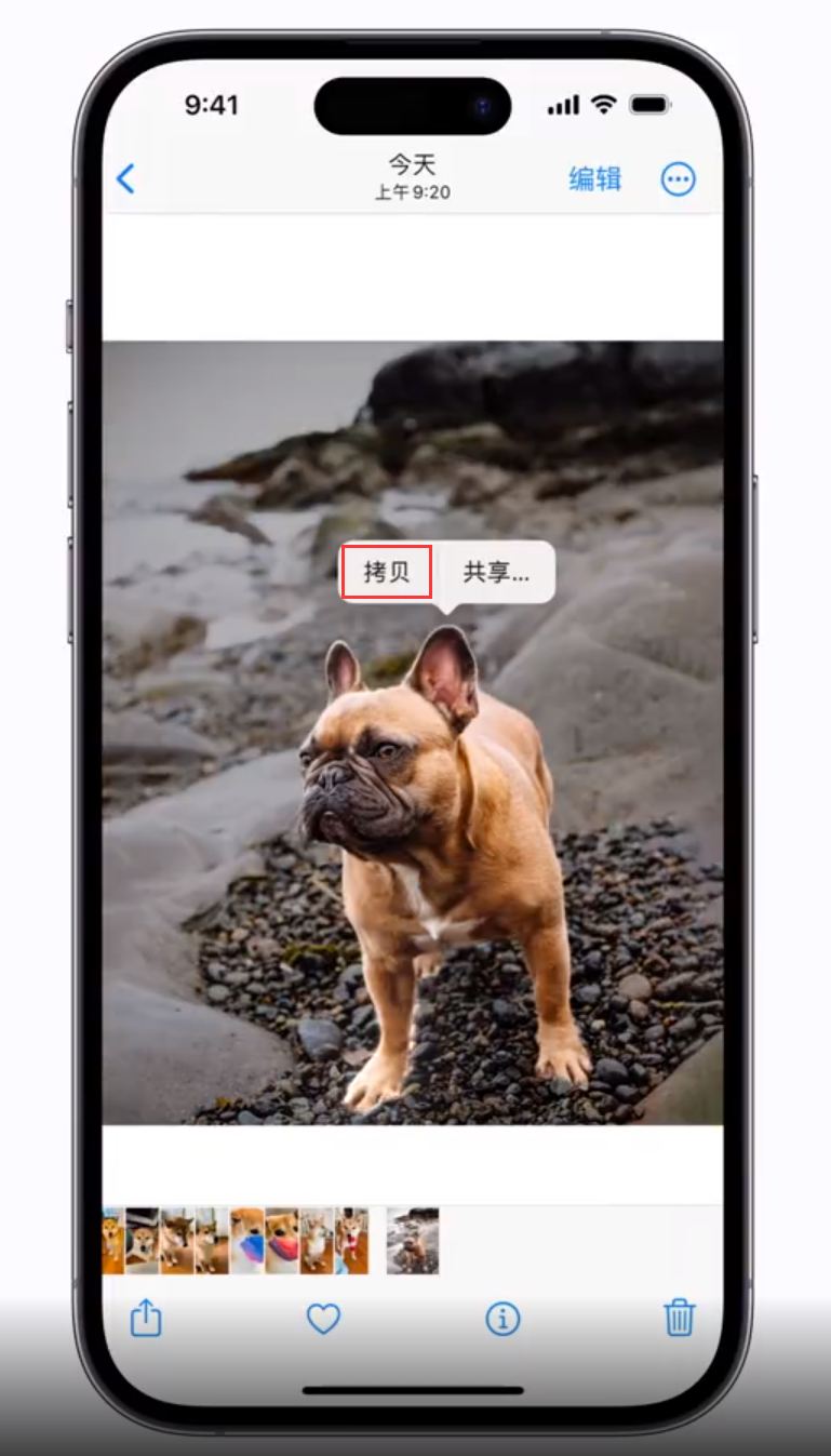 开州苹果手机维修分享 iOS 16 自带一键抠图功能 