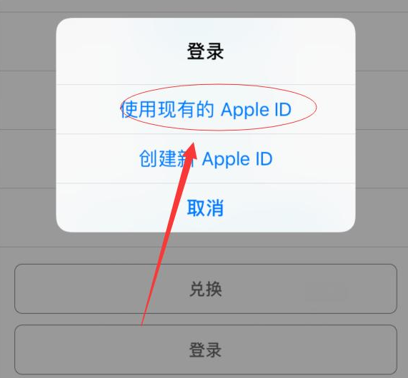 开州苹果手机维修分享两台iPhone设备可以同时登录一个Apple ID吗 